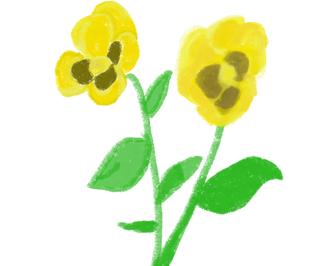 植物_パンジー黄_001