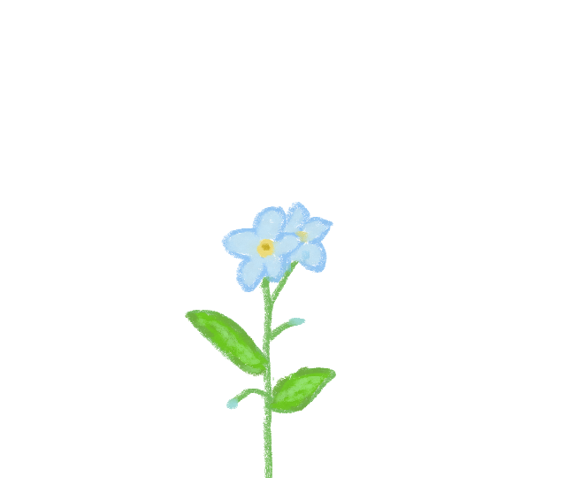 植物_勿忘草_001